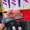 pocket toto. pocket pussy